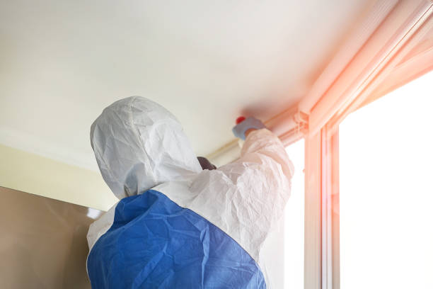 Best Mold Removal for HVAC Installations  in Oquawka, IL